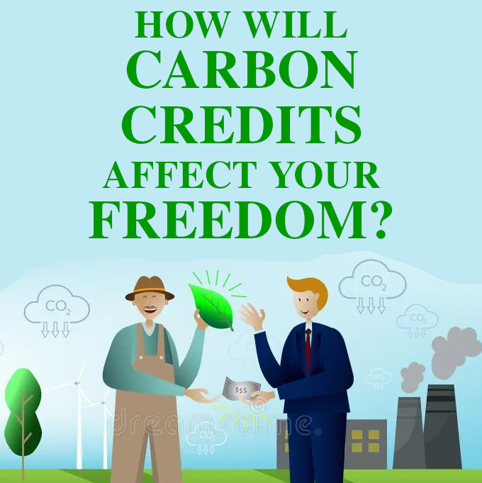 Image of Carbon Credits